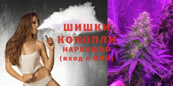 гашик Заволжье