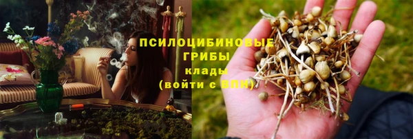 меф Заволжск