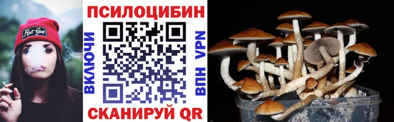 Галлюциногенные грибы мухоморы  Купить закладки  Рошаль 
